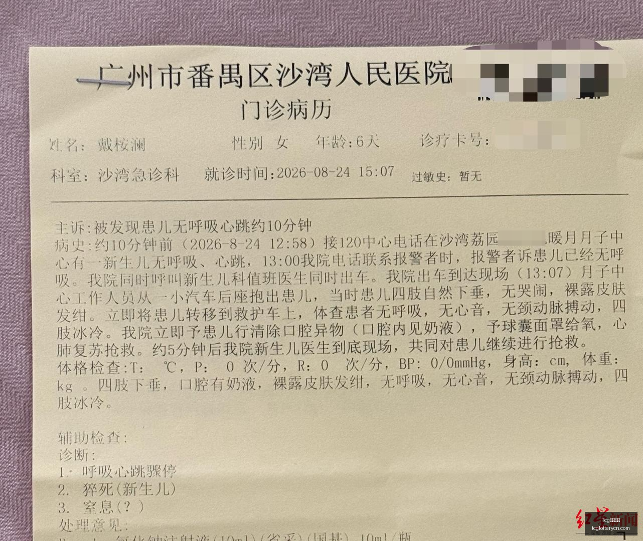 节奏汪星全,面上线人狗,共舞的终极,Tcg天成彩票,彩票平台,在线投注,彩票预测,高频彩票